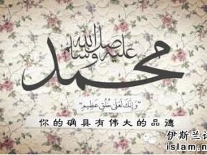 مصالحة مع القرآن