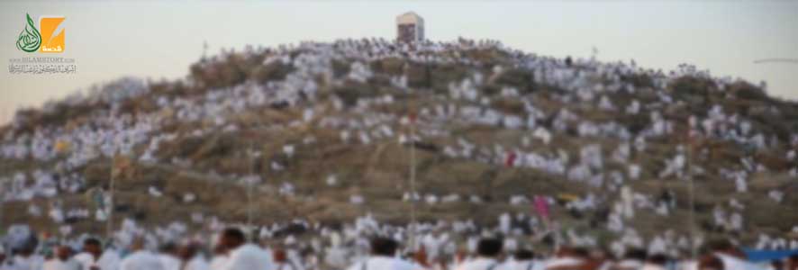 لطائف  الذوق في الإسلام
