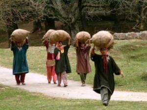 Freezing Winter Awaits Kashmiris